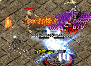 传奇私服 传奇私服